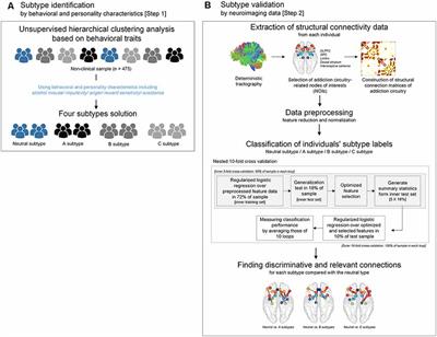 Identification of Tendency to Alcohol Misuse From the Structural Brain Networks